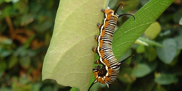 ddos在线压力测试平台